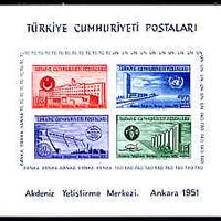 Turkey 1951 United Nations Economic Conference imperf m/sheet with red shifted to left, unmounted mint, SG 1468a