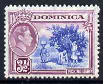 Dominica 1938-47 KG6 3.5d Picking Limes fine unmounted mint SG104a