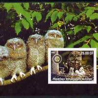 Congo 2002 Owls #1 imperf m/sheet with Rotary Logo unmounted mint
