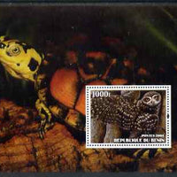 Benin 2004 Owls & Tortoises perf s/sheet #1 unmounted mint