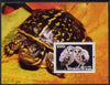 Benin 2004 Owls & Tortoises perf s/sheet #3 unmounted mint