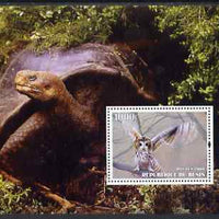 Benin 2004 Owls & Tortoises perf s/sheet #4 unmounted mint
