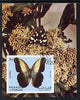 Sharjah 1972 Butterflies imperf m/sheet cto used (Mi BL 118)