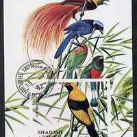 Sharjah 1972 Birds #1 imperf m/sheet cto used (Mi BL 121)