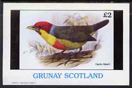 Grunay 1982 Birds #12 (Capito Steerii) imperf deluxe sheet (£2 value) unmounted mint