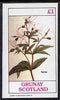 Grunay 1983 Flowers #16 (Spirea) imperf souvenir sheet (£1 value) unmounted mint