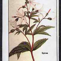 Grunay 1983 Flowers #16 (Spirea) imperf souvenir sheet (£1 value) unmounted mint