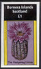 Bernera 1981 Cacti (Hedgehog Cactus) imperf souvenir sheet (£1 value) unmounted mint