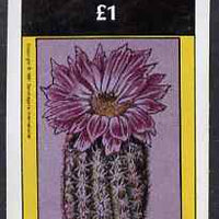 Bernera 1981 Cacti (Hedgehog Cactus) imperf souvenir sheet (£1 value) unmounted mint