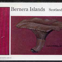 Bernera 1983 Fungi (Chantarelle) imperf deluxe sheet (£2 value) unmounted mint