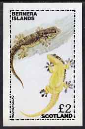 Bernera 1981 Moorish Gecko imperf deluxe sheet (£2 value) unmounted mint