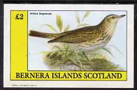 Bernera 1983 Pipit (Anthus bogotensis) imperf deluxe sheet (£2 value) unmounted mint