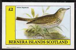 Bernera 1983 Pipit (Anthus bogotensis) imperf deluxe sheet (£2 value) unmounted mint