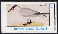 Bernera 1983 Birds - Caspian Tern imperf souvenir sheet (£1 value) unmounted mint