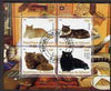 Djibouti 2008 Domestic Cats #1 perf sheetlet containing 4 values fine cto used