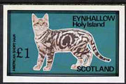 Eynhallow 1983 Domestic Cats imperf souvenir sheet (£1 value - American Short Hair) unmounted mint