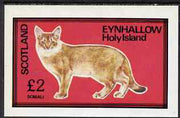 Eynhallow 1983 Domestic Cats imperf deluxe sheet (£2 value - Somali) unmounted mint. Note this item is privately produced and is offered purely on its thematic appeal