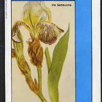 Eynhallow 1983 Flowers #33 imperf deluxe sheet (£2 value - Iris) unmounted mint