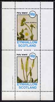 Eynhallow 1982 Flowers #33 perf set of 2 values unmounted mint