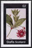 Staffa 1982 Illicium imperf deluxe sheet (£2 value) unmounted mint