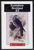 Eynhallow 1981 Buzzard imperf deluxe sheet (£2 value) unmounted mint
