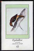 Eynhallow 1981 Tree Creeper imperf deluxe sheet (£2 value) unmounted mint