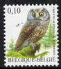 Belgium 2002-09 Birds #5 Tengmalm's Owl 0.10 Euro unmounted mint SG 3694a