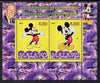 Malawi 2008 Disney - 80th Anniversary of Mickey Mouse perf sheetlet #3 containing 2 values unmounted mint