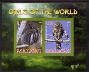 Malawi 2008 Owls of the World imperf sheetlet #3 containing 2 values with Scout Logo unmounted mint