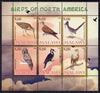 Malawi 2008 Birds of North America perf sheetlet containing 6 values unmounted mint