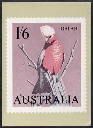 Australia 1964-65 Galah 1s6d Philatelic Postcard (Series 2 No.22) unused and very fine