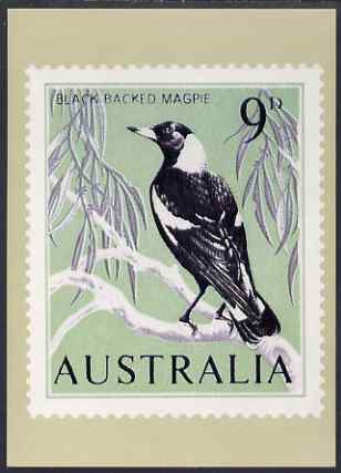 Australia 1964-65 Black-backed Magpie 9d Philatelic Postcard (Series 2 No.8) unused and very fine