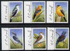 Burkina Faso 1999 Birds perf set of 6 each signed in the margin by Thomas C Wood the designer, unmounted mint