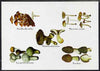 Turkmenistan 1999 Fungi postal stationery card No.3 from a series of 4, unused and pristine