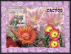 Mozambique 2007 Cacti perf souvenir sheet unmounted mint Yv 156