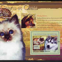 Guinea - Conakry 2007 Cats & Dogs perf souvenir sheet #3 unmounted mint Yv 530