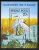 Hungary 1980 Protected Birds perf m/sheet (Egrets) unmounted mint, SG MS 3346, Mi BL 146