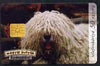 Telephone Card - Hungary 50 units phone card showing Komondor Dog