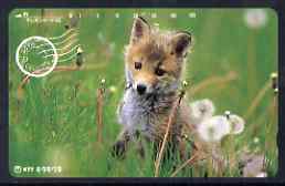 Telephone Card - Japan 105 units phone card showing Fox Cub