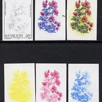 St Vincent 1985 Herbs & Spices 35c (Sweet Marjoram) set of 6 imperf progressive proofs comprising the 4 individual colours plus 2 & 3 colour composites (as SG 869)
