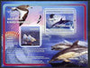 Guinea - Bissau 2008 Dolphins & Sea Birds (with seashells) perf souvenir sheet unmounted mint
