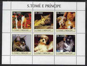 St Thomas & Prince Islands 2003 Cats & Dogs (3 oriental kittens) perf souvenir sheet unmounted mint Mi Bl 1444