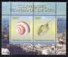 Congo 2008 Shells & Marine Life #3 perf sheetlet containing 2 values unmounted mint