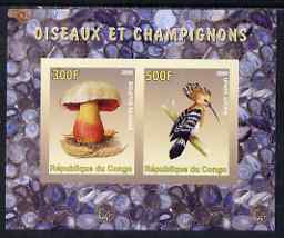 Congo 2008 Birds & Mushrooms #1 imperf sheetlet containing 2 values unmounted mint