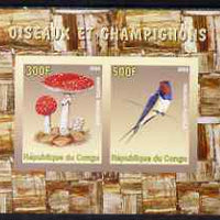 Congo 2008 Birds & Mushrooms #2 imperf sheetlet containing 2 values unmounted mint