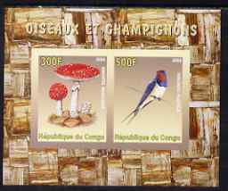 Congo 2008 Birds & Mushrooms #2 imperf sheetlet containing 2 values unmounted mint