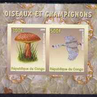 Congo 2008 Birds & Mushrooms #3 imperf sheetlet containing 2 values unmounted mint