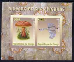 Congo 2008 Birds & Mushrooms #3 imperf sheetlet containing 2 values unmounted mint