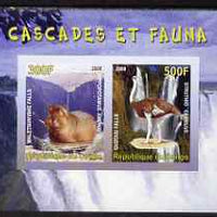 Congo 2008 Waterfalls & Animals (Hippo & Ostrich) imperf sheetlet containing 2 values unmounted mint