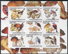 Turkmenistan 2000 Birds & Mushrooms imperf sheetlet containing 9 values unmounted mint. Note this item is privately produced and is offered purely on its thematic appeal